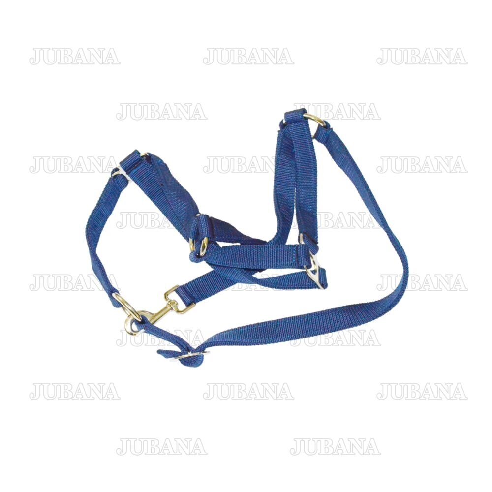 Collars for cattle (blue) 12614
