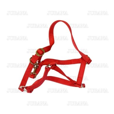 Collar for cattle (red) 12613