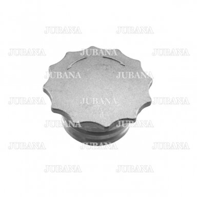 Oil cap А19.01.001