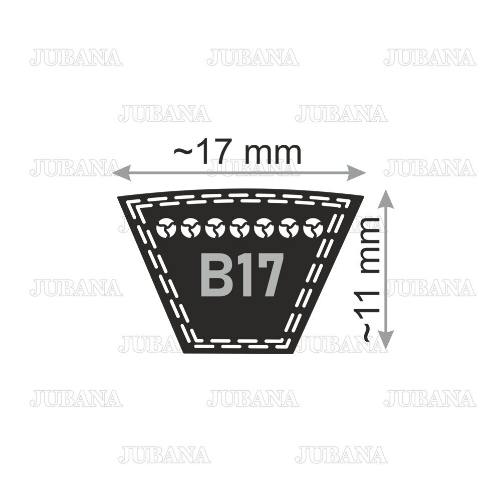 Belt B17 Li 2060 Lw 2100 TAKUMI 2