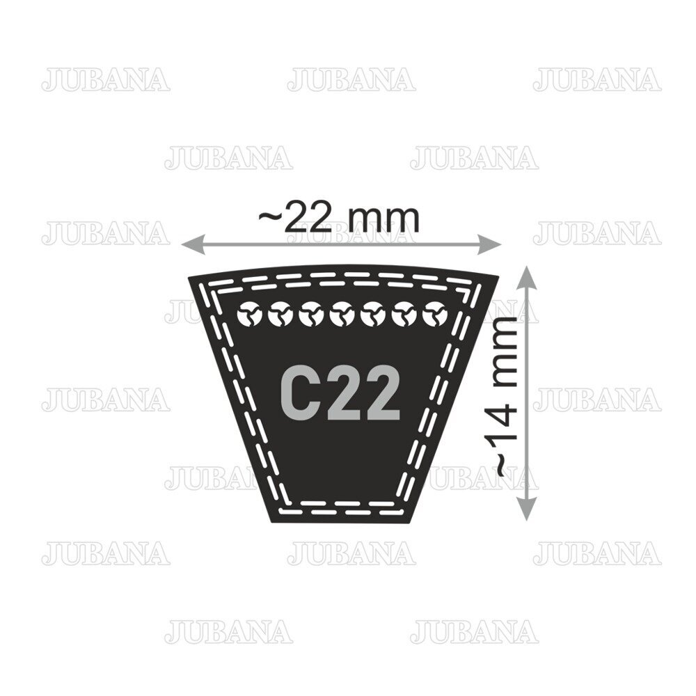 Belt C22 Li 3550 Lw 3600 TAKUMI 2