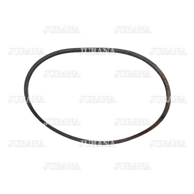 Belt C(B)-2360