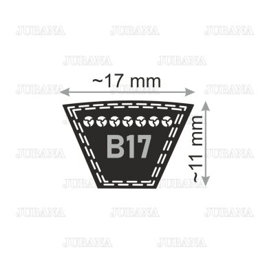 Belt B17 Li 1160 Lw 1200 TAKUMI 2