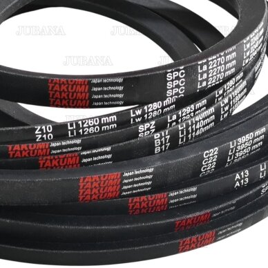 Belt C22 Li 3950 Lw 4000 TAKUMI 1