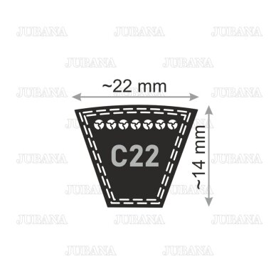 Belt C22 Li 6450 Lw 6500 TAKUMI 2