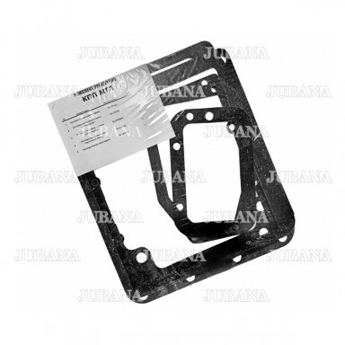 Greičių dėžės tarpinių komplektas RMK 3619 (paranitas)