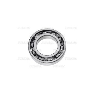 Bearing 115 (6015) ZVL