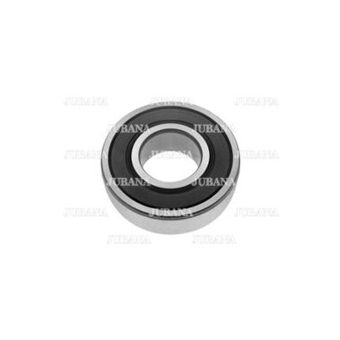 Bearing 180205 ZVL
