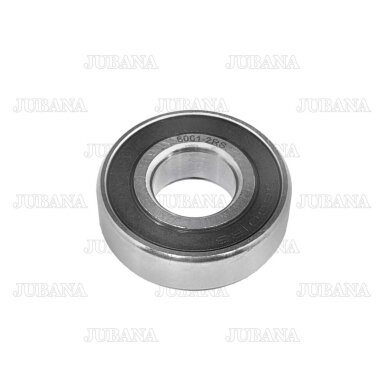 Guolis 6204.2RS, 180204 Guolis 6204.2RS, 180204