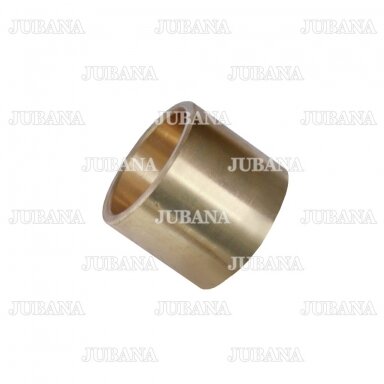 Bushing D22-1005434