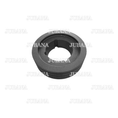 Pulley SPA-100/1 B.1610