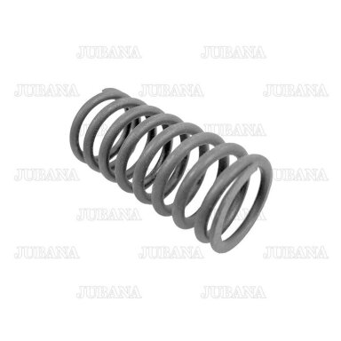 Spring D37-1007046 (small)