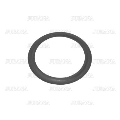 Tarpinė dangčio 120.32x2.62 mm