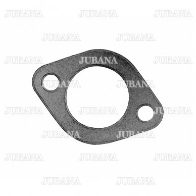 Tarpinė 50-1307049-A Tarpinė 50-1307049-A
