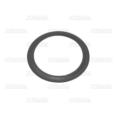 Tarpinė dangčio 120.32x2.62 mm Tarpinė dangčio 120.32x2.62 mm