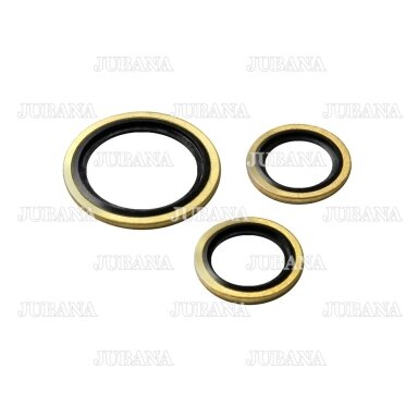 Sealing ring BSP 1/4"