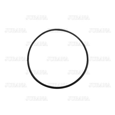 Sealing ring 245-1002022, 50-1002022 Sealing ring 245-1002022, 50-1002022